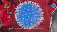 医学三维动画公司制作有哪些分支意义